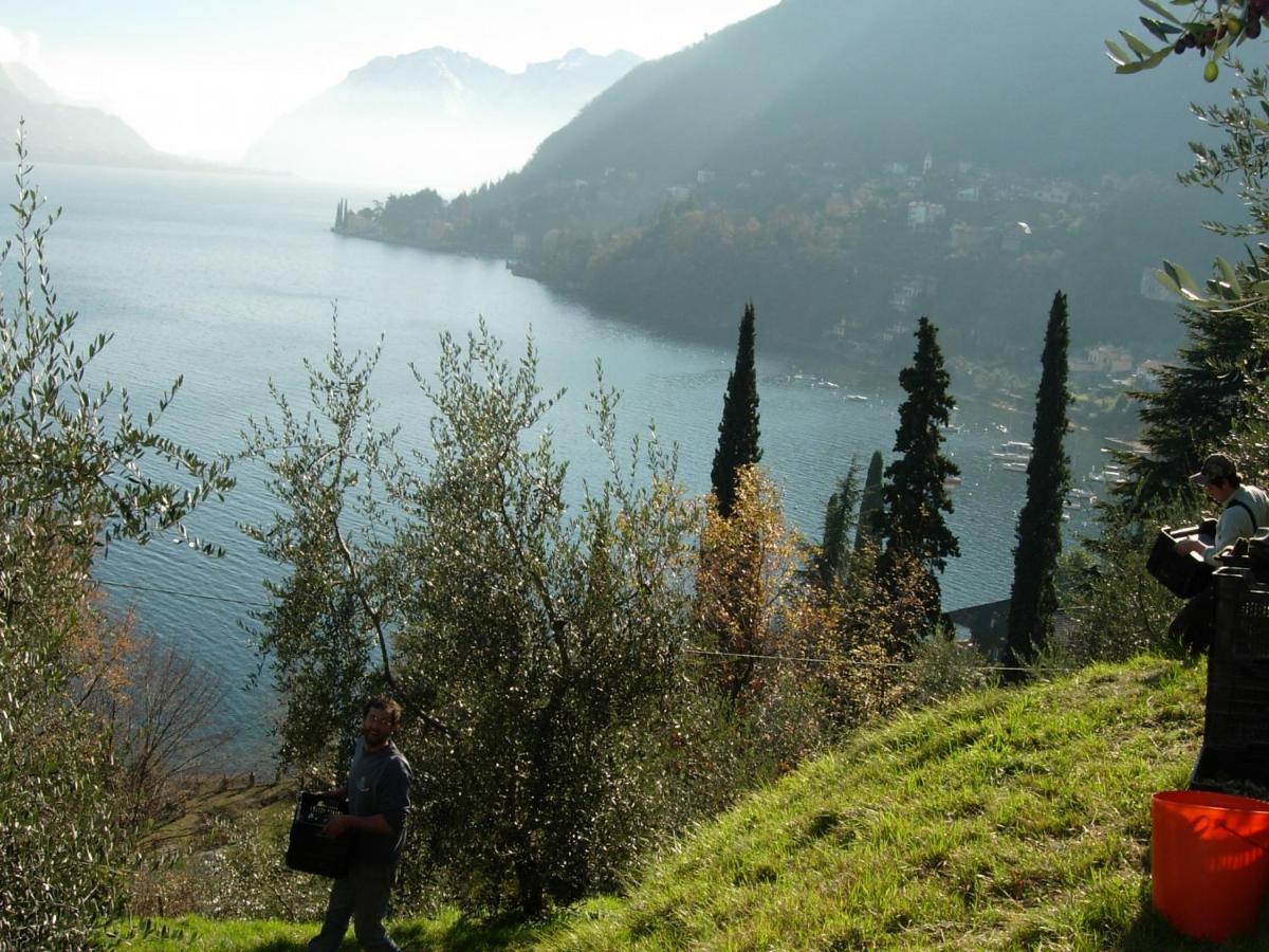Vila Casa Indipendente "Il Sole Delle Grigne" Bellagio Exteriér fotografie